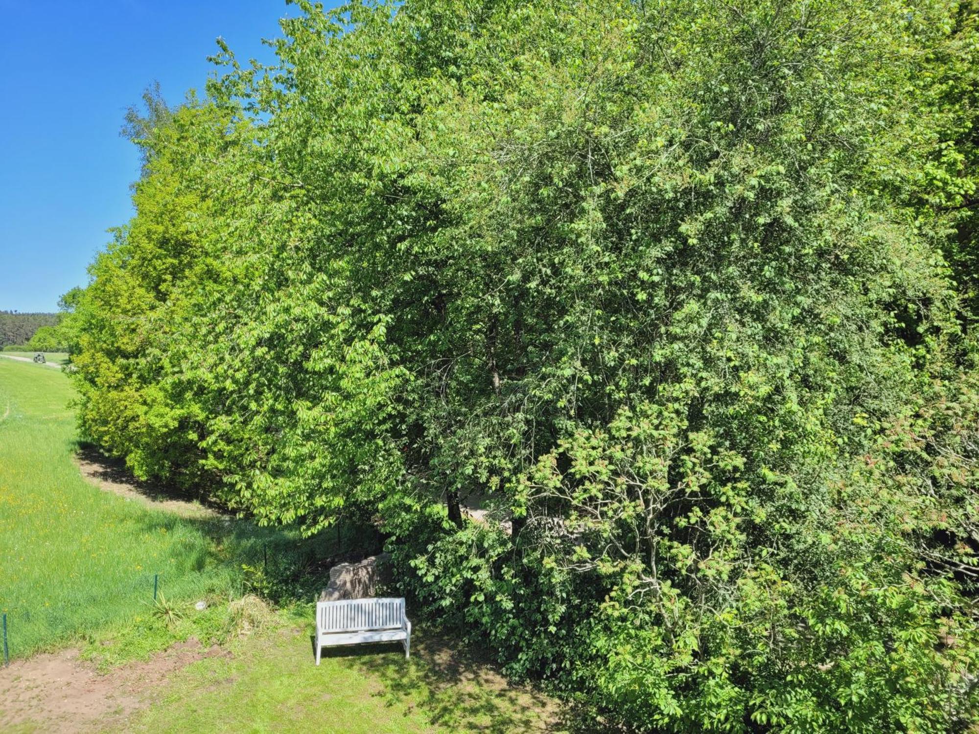 Meingaestehaus Im Fraenkischen Seenland Haundorf Oda fotoğraf